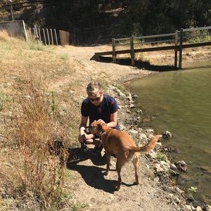 Meet your Posher, Harrison